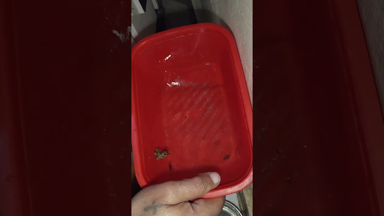 كيفيه تصليح اعطال الثلاجه  معاه الاستاذ 🌟✨