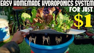 Cheapest Hydroponic System For Everyone | Under $1/100 Rs