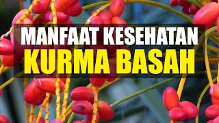 Manfaat Kesehatan Kurma Basah | Mulai Jadi Camilan Hingga Beberapa Penyakit Berat.