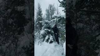 Majestica - How To Decorate A Christmas Tree: Swedish Edition (Shorts)