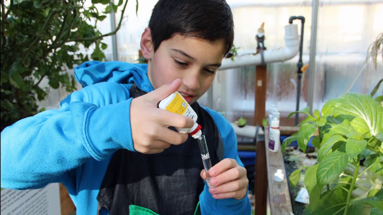 دفيئة المستقبل جلجولية- مسيرة انتماء