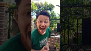 Download Lagu Gara gara sebotol minuman😂 MP3