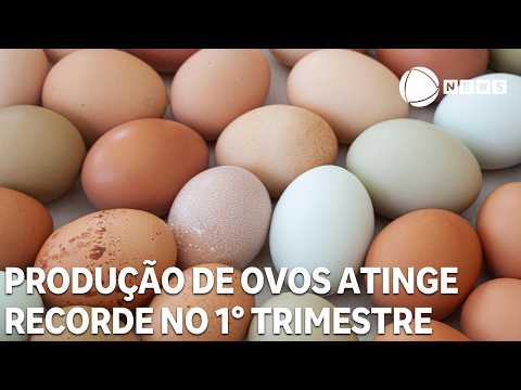 Egg production hits record in the first quarter