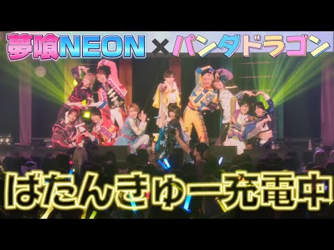 【夢喰NEON×パンダドラゴン】ばたんきゅー充電中【コラボ】