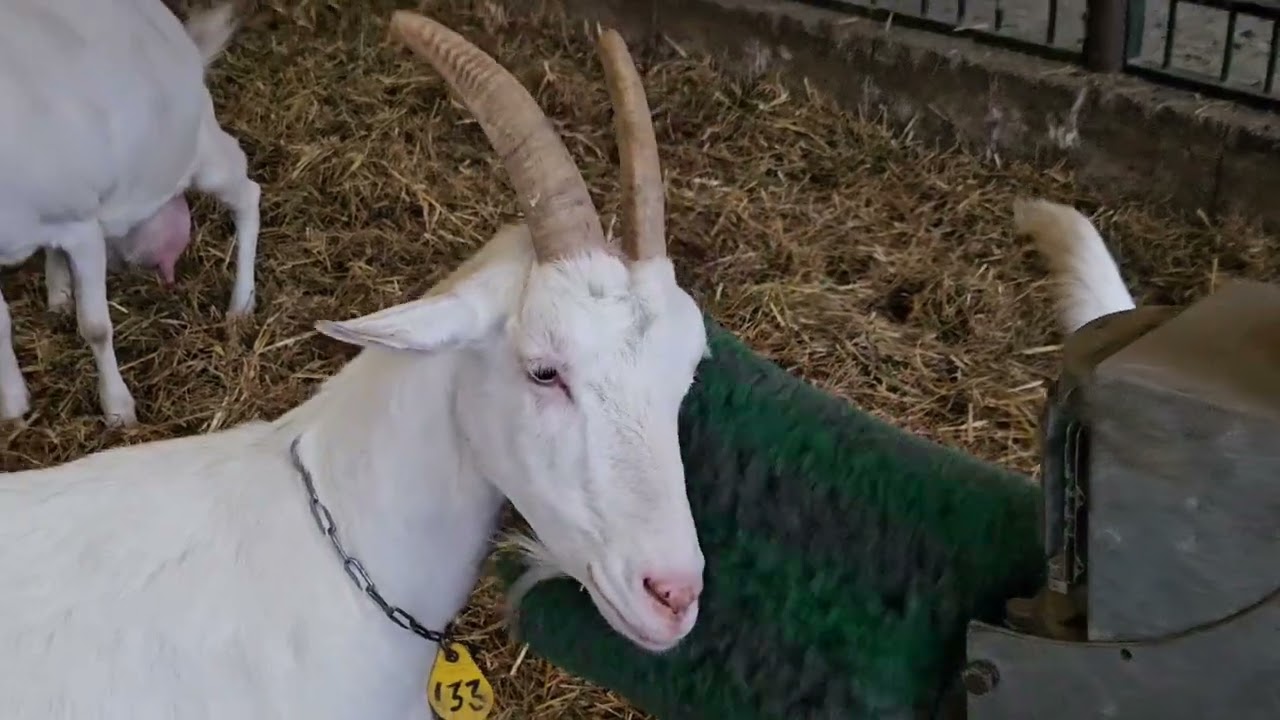 A day at "Amsterdamse Bos"