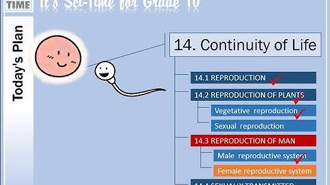 Grade 10 Unit 14 Reproduction Lesson 5 640p