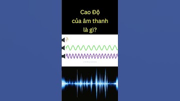 Cao Độ của âm thanh là gì? | Tri thức nhân loại