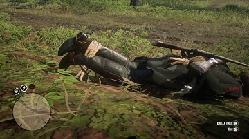 GUY GETS OFF ON RDR2 ONLINE BY RAPING/SPAWN-KILLING GRANDMA!!!!