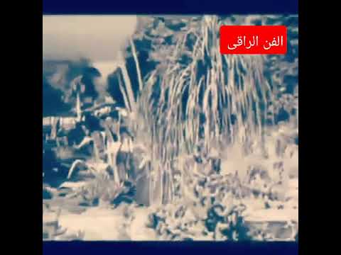 كان يوم حبك أجمل صدفه عبد الحليم حافظ