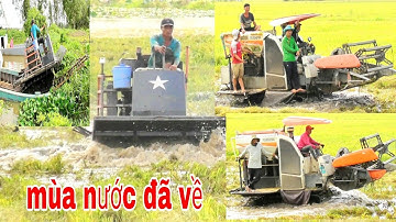 CẢNH TƯỢNG ĐỘI MÁY CẮT LÚA KUBOTA DC70 LỘI NƯỚC MÙA MƯA BÃO