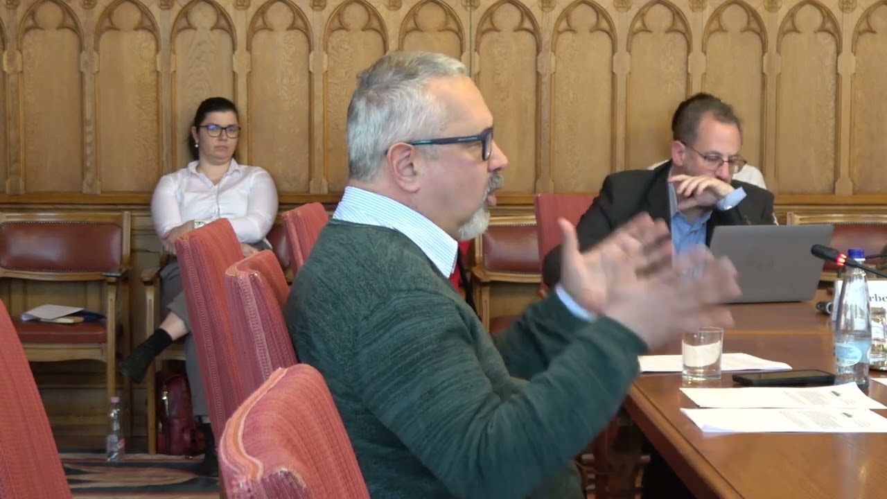 Arató Gergely DK  ás képviselő a kinti magyarok szavazati jogáról,és végrehalytások vállalhatatlanok