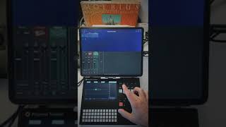 polyend tracker + Korg gadget quick setup