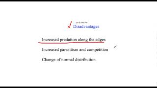 Edge Effect