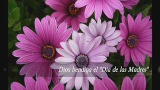 Video thumbnail of "Jairo Antúnez - Dios Bendiga El Dia De Las Madres (canción completa)"