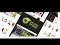 Ogani  organic food pet alcohol cosmetics responsive   themeforest download