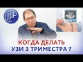 УЗИ 3 триместра. Когда лучше делать УЗИ-скрининг 3 триместра? Отвечает Гузов И.И.