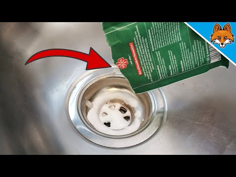 Video: Vil bakepulver rense en kolbe?