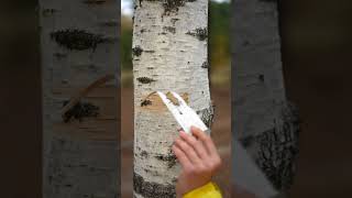 How to make a fire in the forest after rain using birch bark and crystal 🔥 LifeHack Bushcraft #asmr