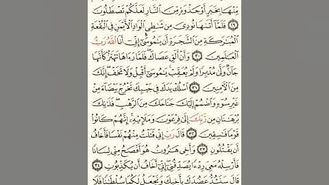ماهر المعيقلي سورة القصص مكتوبة صفحة 389 مصحف المدينة المنورة جودة عالية
