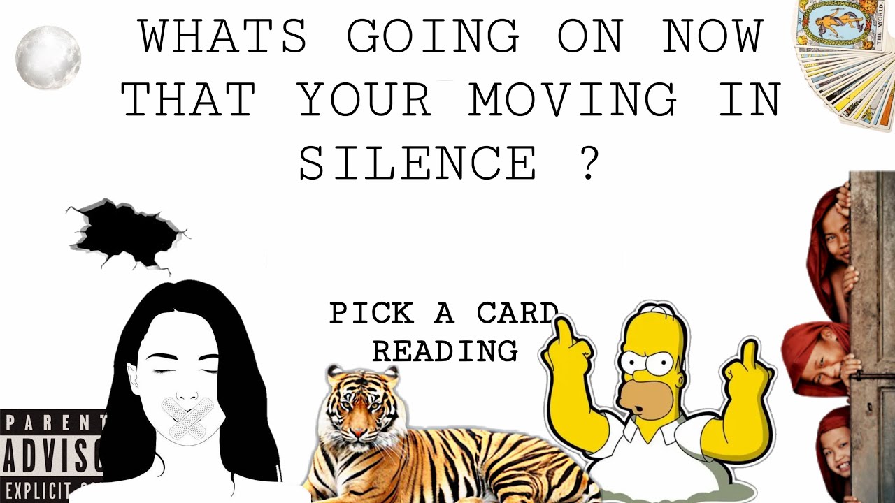 (PICK A CARD) WHATS GOING ON NOW THAT YOUR MOVING IN SILENCE?