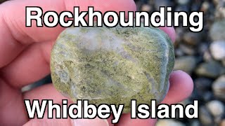 Rockhounding Whidbey Island, WA - Fighting the Tide for Jasper!