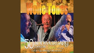 Watch Wolfe Tones The Hot Asphalt video