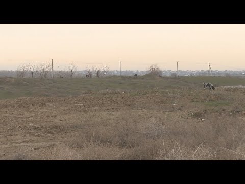 Шымкентте 383 жер учаскесі заңсыз қолданысқа беріліп кеткен - YouTube