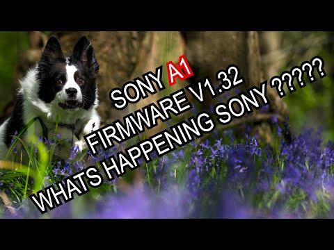 SONY A1 FIRMWARE