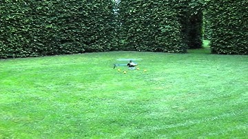 T-rex 450 hovering practicing in wind (5th flight)