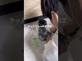 【トイレDIY】TOTOのトイレを新品に変えてリフォームしました。 #diy #リフォーム #セルフリノベーション #リノベーション