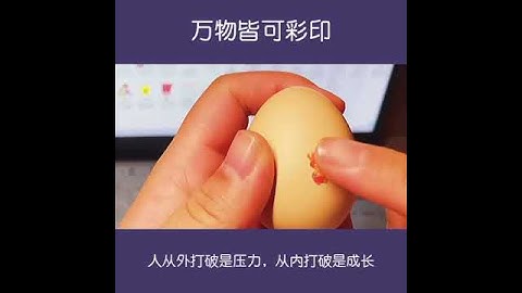 PEKOKO Mini Portable Handheld Color Printer Eggs Marking Machine | Exp Date /Logo Printing On Eggs