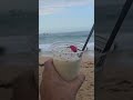 Piña Colada 7873901837