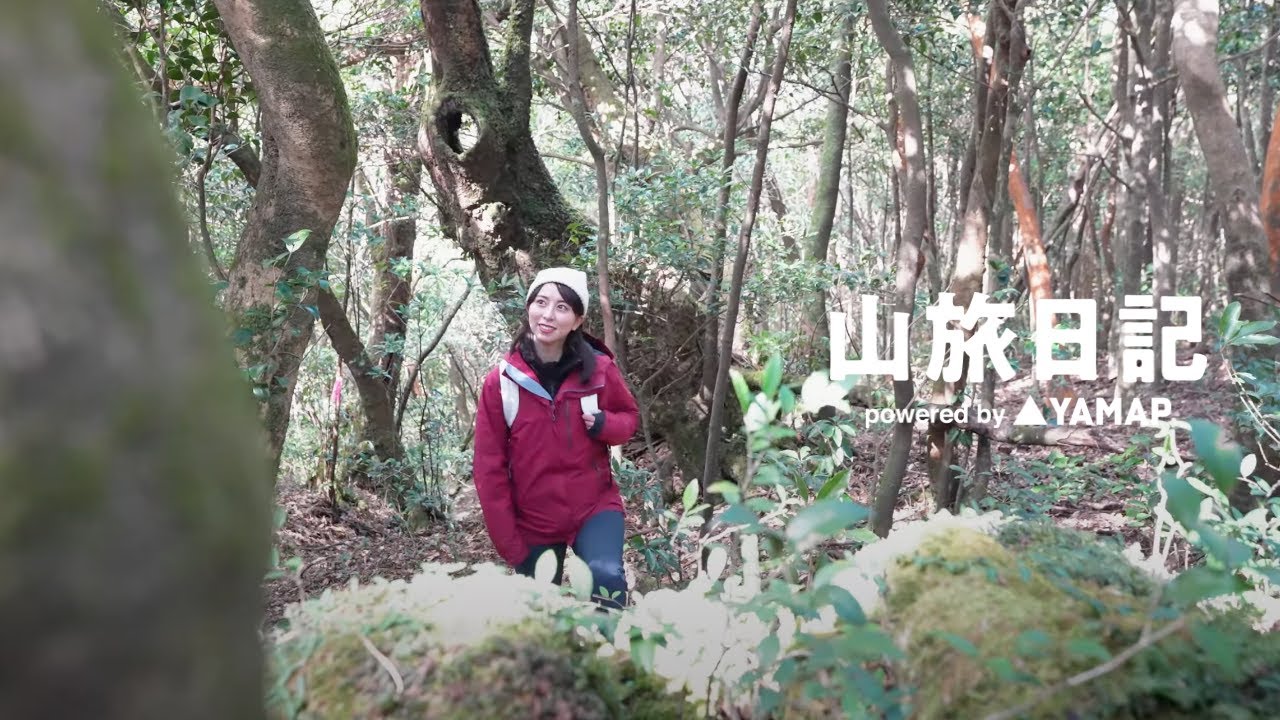 清流と照葉樹の木漏れ日に癒やされる、鹿児島県「稲尾岳」登山動画【山旅日記 Vol.23】