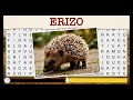 🤓 SOPA de LETRAS XXL - Erizo 🦔