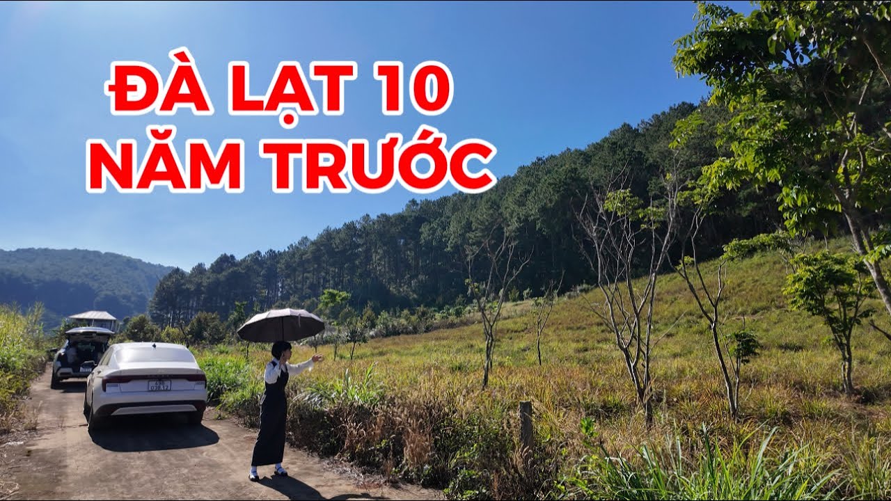 (Đã bán)Đất ven Đà Lạt| Ngỡ như Đà Lạt 10 năm về trước rừng thông bao phủ đẹp mơ màng !