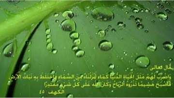 صاحب الجنتين سورة الكهف