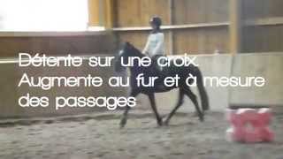 Cours de saut [Galop 4/5]