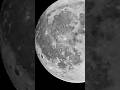 The moon   moon moonlight shortsluna mond themoon themoonligth