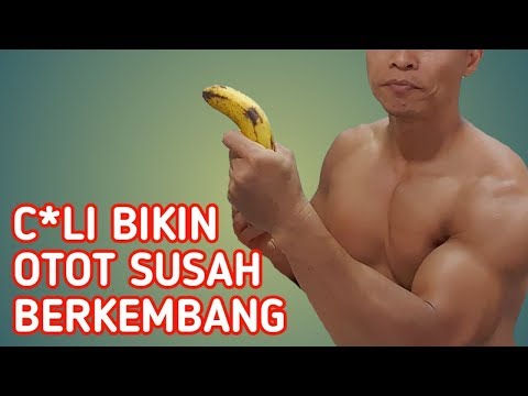 C*li bikin otot kita gak berkembang?