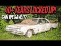 ABANDONED Dodge Monaco LOCKED UP for 40+ Years: Can We Save It?