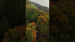 Autumn isn’t just a season – it’s a feeling. #djiavata2 #drone #fpv #dji #fpvdrone #nature