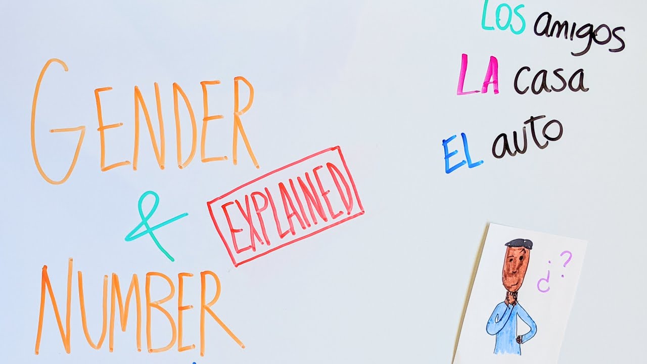 Male and Female Words in Spanish EL, LA, LOS, LAS YouTube