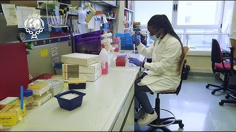 COVID-19: Establishing rapid laboratory diagnostics programs in LMICs