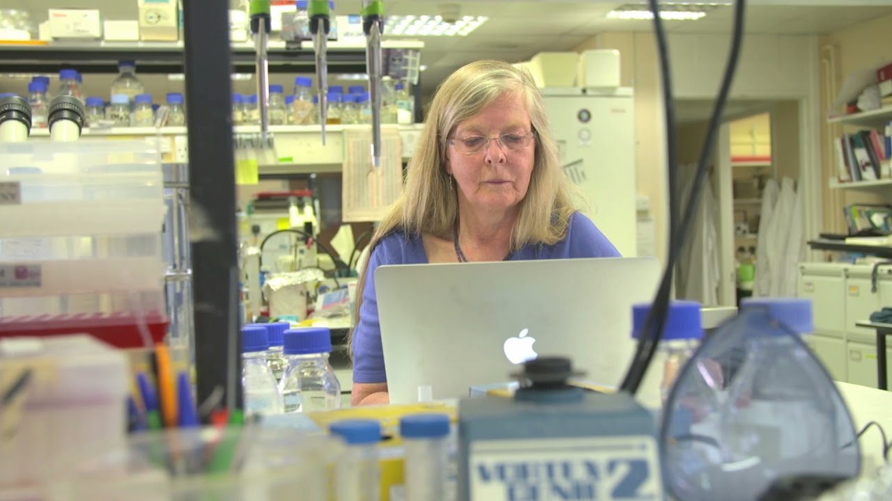 Eureka Moments: Professor Helen Skaer