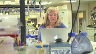 Eureka Moments: Professor Helen Skaer