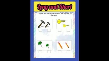 Compare the two objects mark long and short worksheet