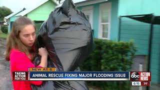 Flooding fears force renovations at Nate's Honor Rescue animal shelter in Manatee County
