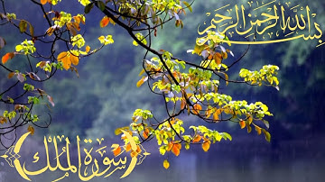 سورة الملك بنية الرزق والشفاء بإذن الله و النجاة من عذاب القبر
