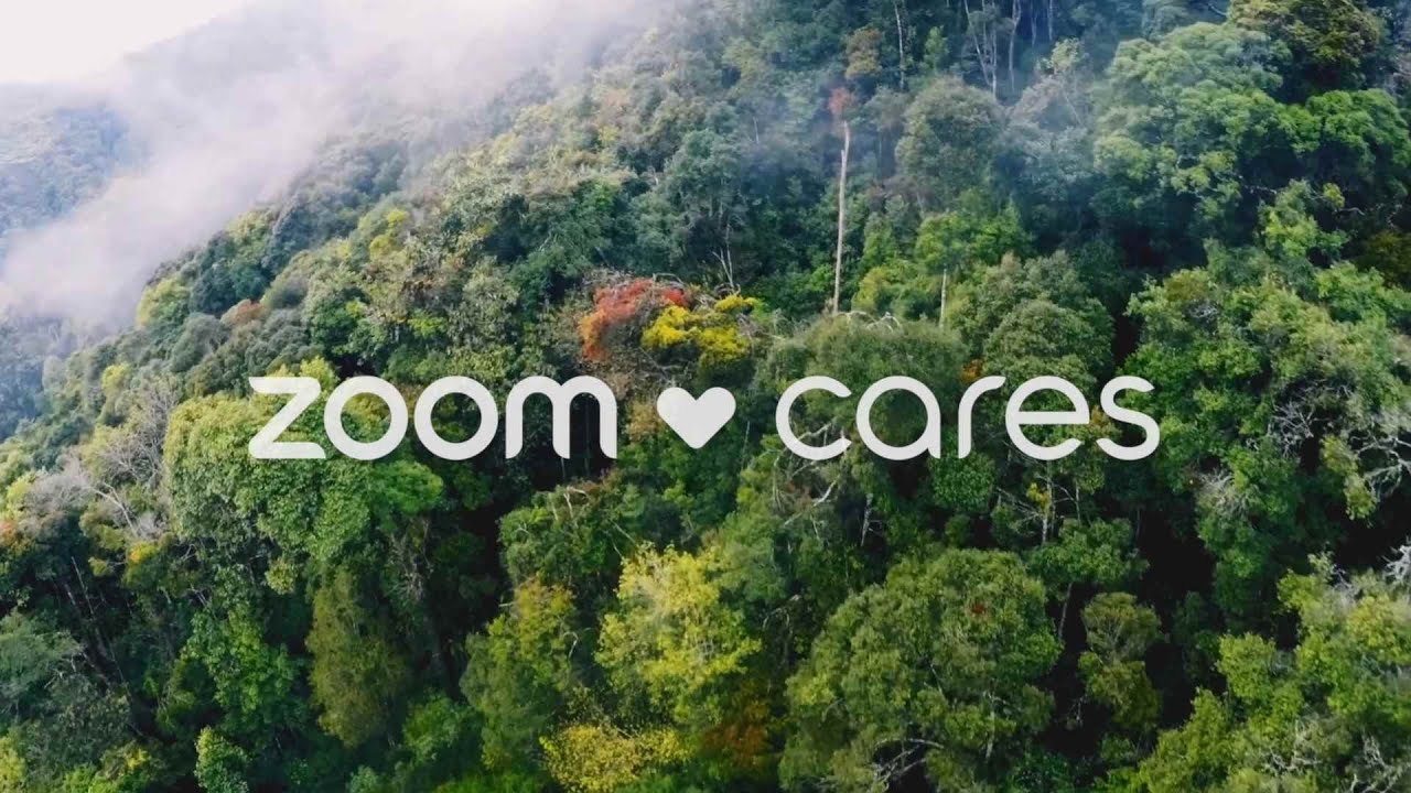 Zoom Cares
