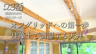 23話【物置小屋を森のコテージに大改造】オフグリッドやってみた/陸稲と果樹/呼吸する天井/走る愛鶏